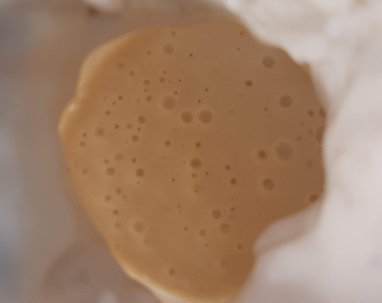 Meet Jolene, My Sourdough Starter