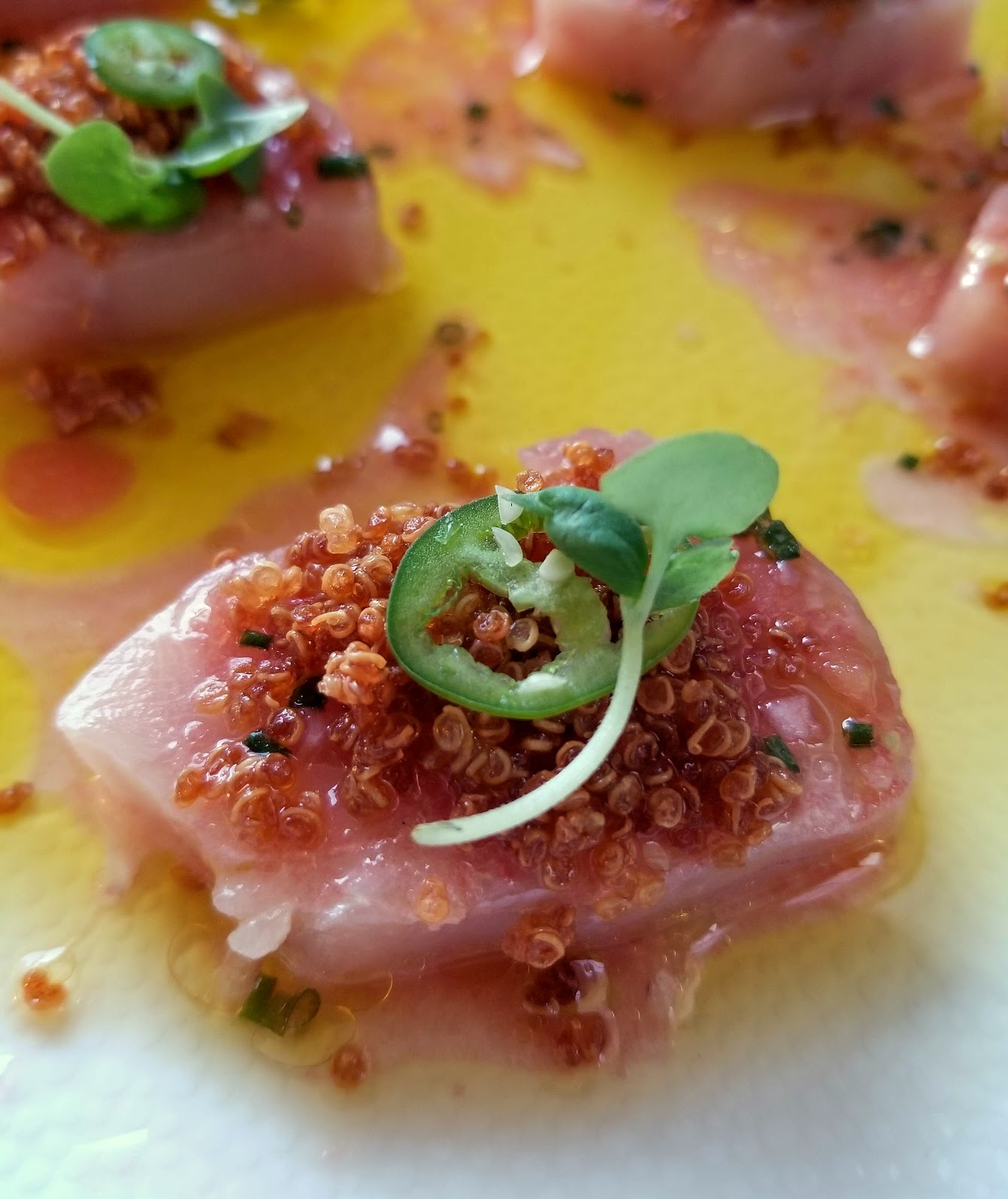 Riviera – Ottawa – July 2020